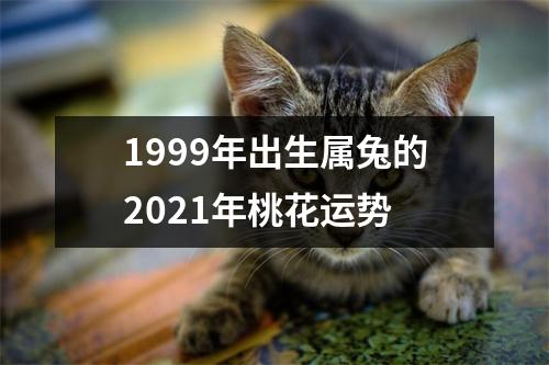 1999年出生属兔的2025年桃花运势