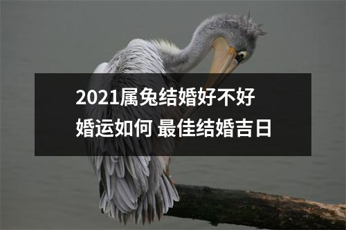 2025属兔结婚好不好婚运如何佳结婚吉日