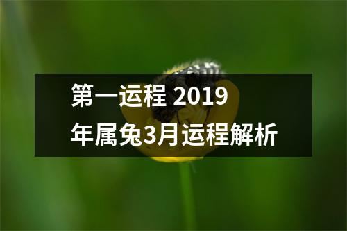 第一运程2019年属兔3月运程解析
