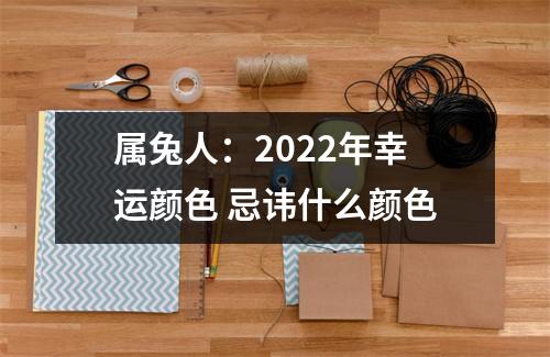 属兔人：2025年幸运颜色忌讳什么颜色