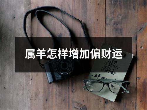 属羊怎样增加偏财运