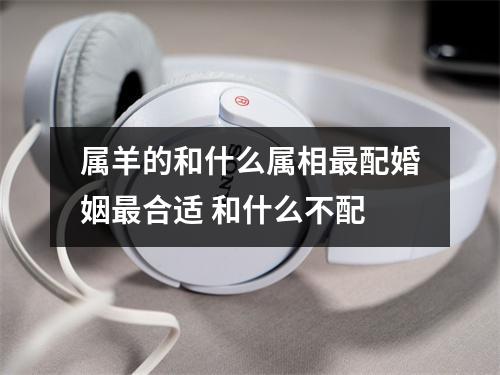 属羊的和什么属相配婚姻合适和什么不配