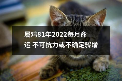 属鸡81年2025每月命运不可抗力或不确定骤增