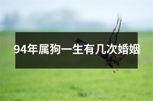 94年属狗一生有几次婚姻