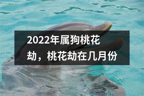 2025年属狗桃花劫，桃花劫在几月份