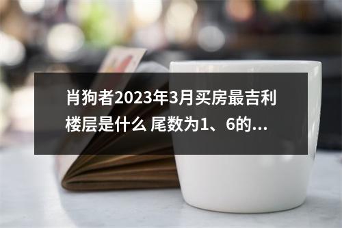 肖狗者2025年3月买房吉利楼层是什么尾数为1、6的楼层