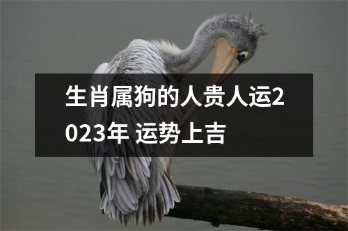 生肖属狗的人贵人运2025年运势上吉