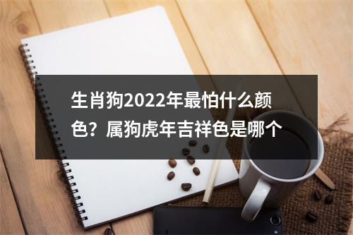 生肖狗2025年怕什么颜色？属狗虎年吉祥色是哪个