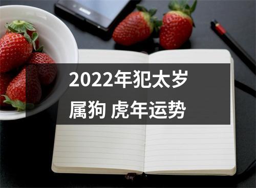 2025年犯太岁属狗虎年运势