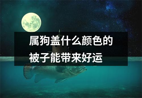 属狗盖什么颜色的被子能带来好运