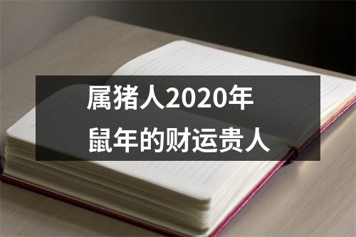 属猪人2025年鼠年的财运贵人