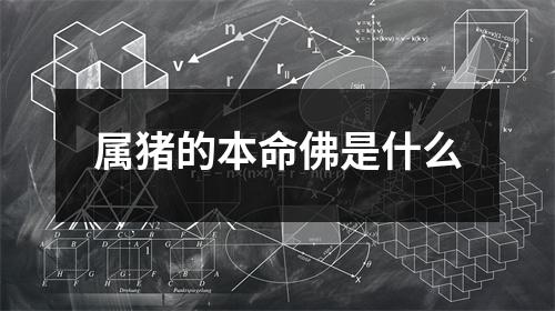 属猪的本命佛是什么