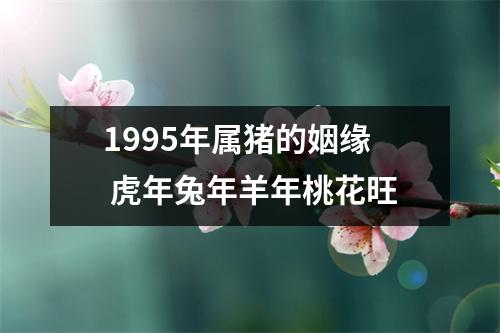 1995年属猪的姻缘虎年兔年羊年桃花旺