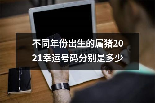 不同年份出生的属猪2025幸运号码分别是多少