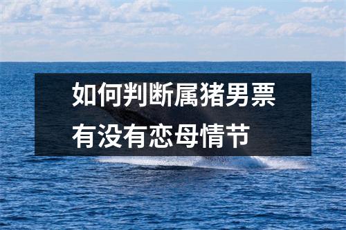 如何判断属猪男票有没有恋母情节