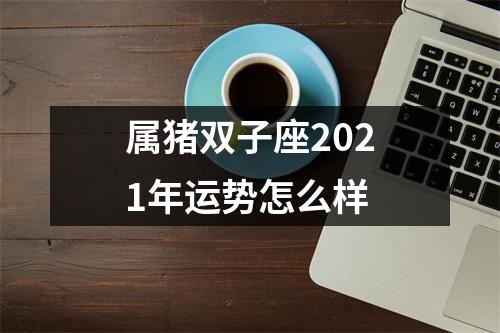 属猪双子座2025年运势怎么样