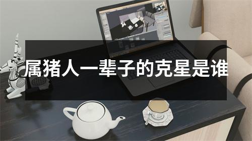 属猪人一辈子的克星是谁