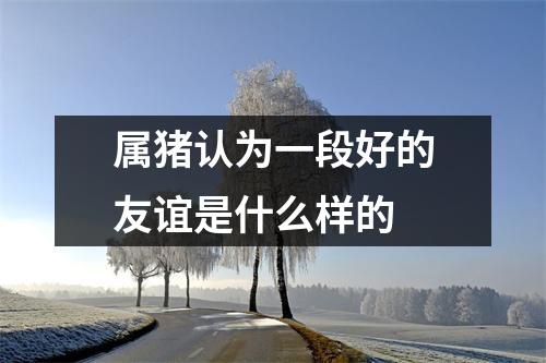 属猪认为一段好的友谊是什么样的