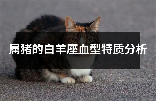 属猪的白羊座血型特质分析