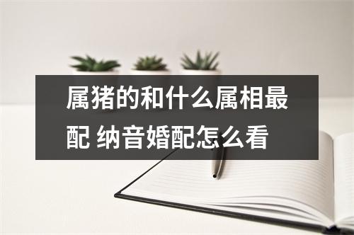 属猪的和什么属相配纳音婚配怎么看