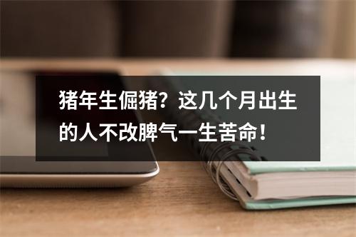 猪年生倔猪？这几个月出生的人不改脾气一生苦命！