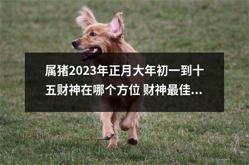 属猪2025年正月大年初一到十五财神在哪个方位财神佳方位