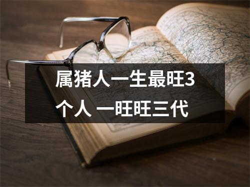 属猪人一生旺3个人一旺旺三代