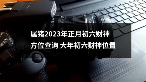 属猪2025年正月初六财神方位查询大年初六财神位置