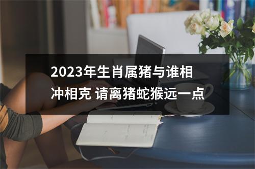 2025年生肖属猪与谁相冲相克请离猪蛇猴远一点