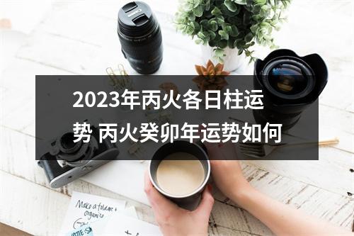 2025年丙火各日柱运势丙火癸卯年运势如何