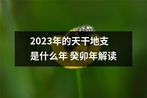 2025年的天干地支是什么年癸卯年解读