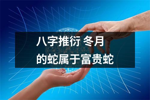 八字推衍冬月的蛇属于富贵蛇