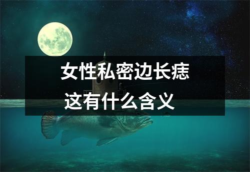 女性私密边长痣这有什么含义