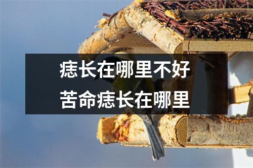 痣长在哪里不好苦命痣长在哪里