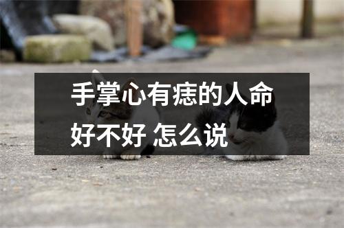 手掌心有痣的人命好不好怎么说