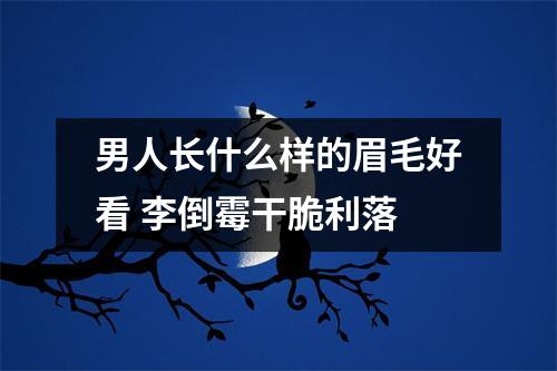 男人长什么样的眉毛好看李倒霉干脆利落