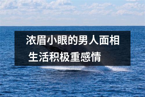 浓眉小眼的男人面相生活积极重感情