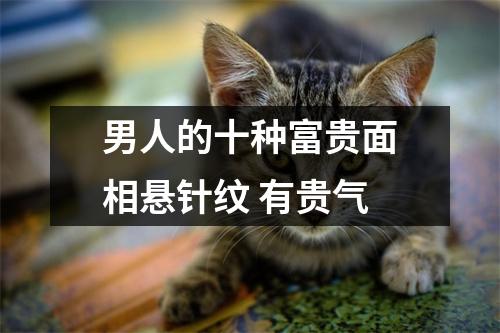 男人的十种富贵面相悬针纹有贵气