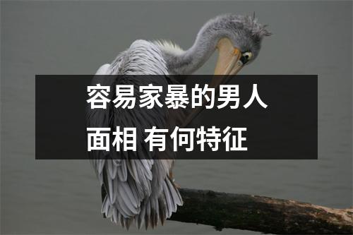 容易家暴的男人面相有何特征