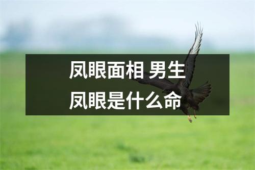 凤眼面相男生凤眼是什么命