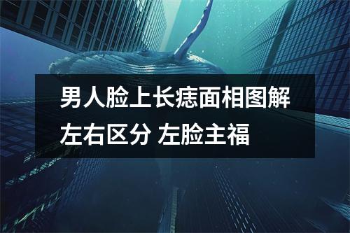 男人脸上长痣面相图解左右区分左脸主福