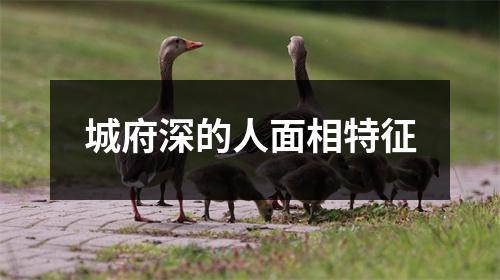 城府深的人面相特征