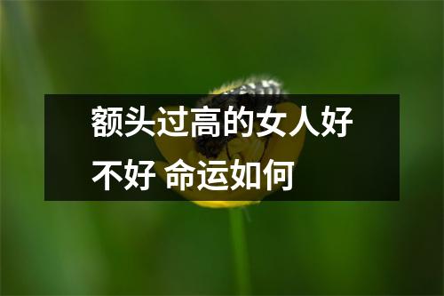额头过高的女人好不好命运如何
