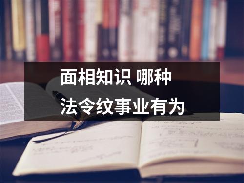 面相知识哪种法令纹事业有为