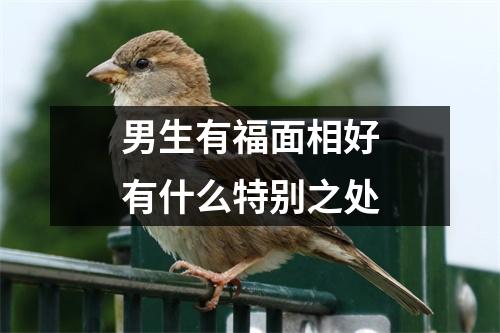 男生有福面相好有什么特别之处
