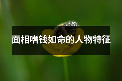 面相嗜钱如命的人物特征