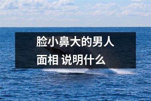 脸小鼻大的男人面相说明什么