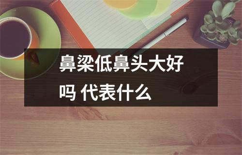 鼻梁低鼻头大好吗代表什么