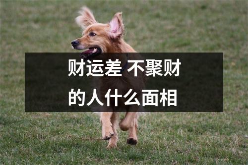 财运差不聚财的人什么面相