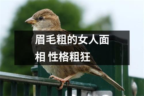 眉毛粗的女人面相性格粗狂